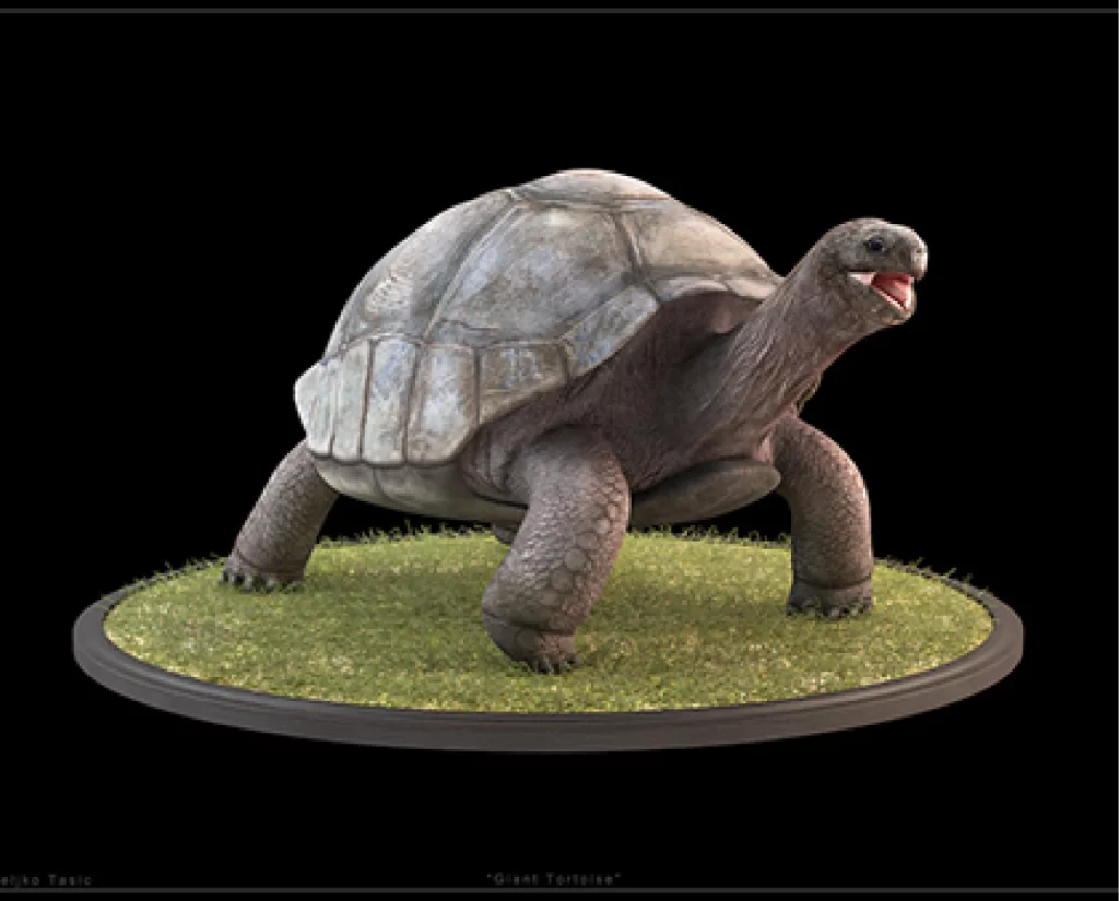Custom Textures and Materials